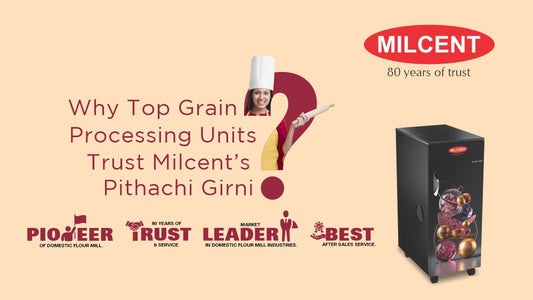 Why Top Grain Processing Units Trust Milcent’s Pithachi Girni ?